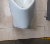 桃園市頭洲國小廁所清潔